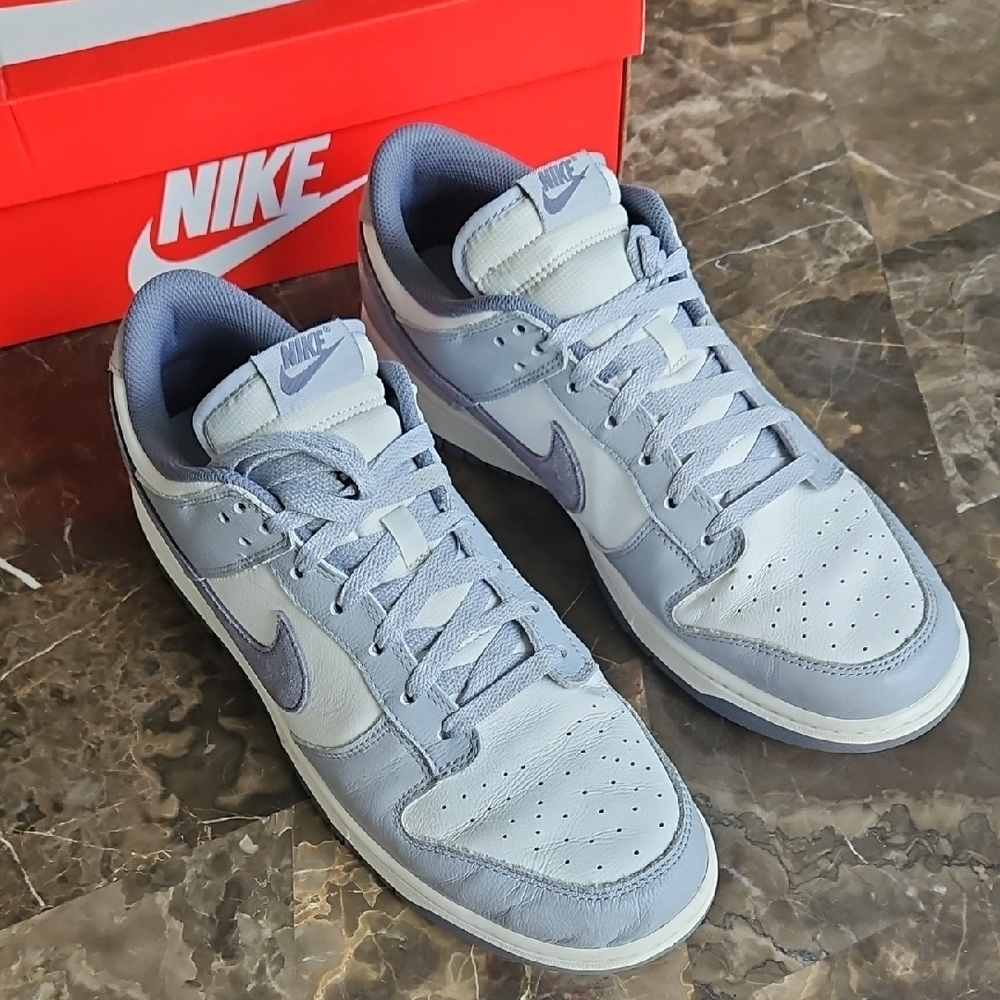 Nike Dunk Low Retro SE